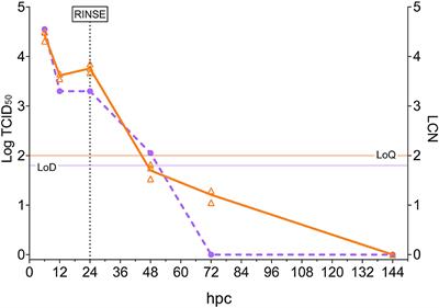 Role of Rotifers in Betanodavirus Transmission to European Sea Bass Larvae